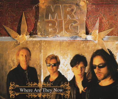 Mr. Big : Where Are They Now